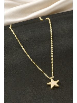 Datatek Yıldız  Sedef Çelik Kolye