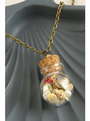 Renklime Fanus Canlı Kolye