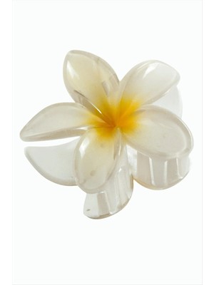 Renklime Lotus Toka 8 cm