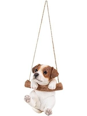 Skygo Asma Terrier Yavru Köpek