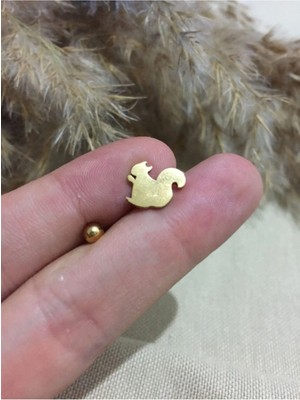 Jaida Moda 316L Cerrahi Çelik Gold Sincap Figürlü Tragus, Kıkırdak, Helix 6mm Piercing