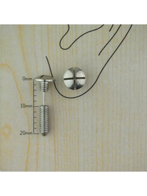 Jaida Moda Unisex Gri Cerrahi Çelik Vida Kulak-Kıkırdak-Helix Piercing