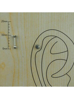 Jaida Moda Unisex Gri Cerrahi Çelik Yaprak Figür 6mm Tragus Helix Piercing