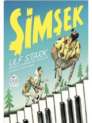 Pötikare Yayınları Şimşek