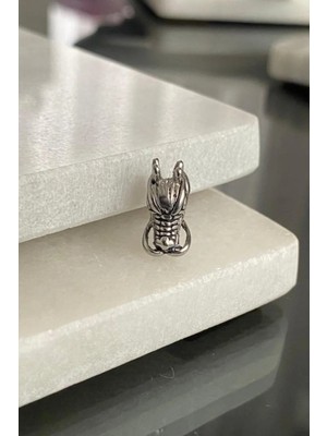Jaida Moda Unisex Gotik Model Ejder Figür Helix Kıkırdak Lobe Çelik Piercing
