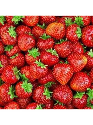 Çilek Tohumu 1 Paket (+100 Adet)