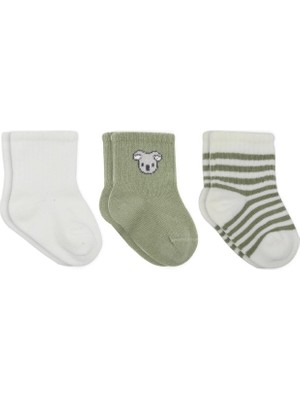 Savarga Koala Boy 3'lü Penye Soket Çorap 10133 Ekru