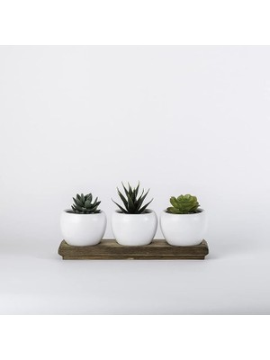 Ahşap Standlı Beyaz Kaktüs ve Sukulentlik 3'lü Saksı (Beyaz)