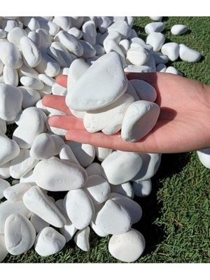 Taş 5 kg 2-4 cm Beyaz Dolomit Bahçe Taşı Çakıl Taşı Saksı Taşı Akvaryum Teraryum Taşı