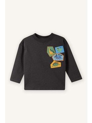 DeFacto Regular Fıt Bisiklet Yaka Baskılı Uzun Kollu Tişört Erkek BEBEK G8049A526SP