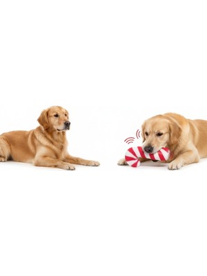 Urfakent Sesli Baston Şeker Oyuncak