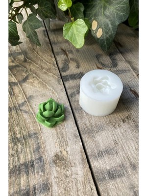 Feyza Design El Yapımı Sukulent Mum Kalıbı, Şık ve Kullanışlı Tasarım