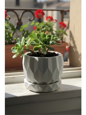 Feyza Design Modern Geometrik Saksı ve Vazo, Dekoratif Kutu, Beyaz Minimal Tasarım