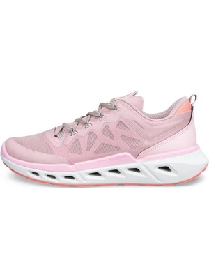 Ecco Biom 720