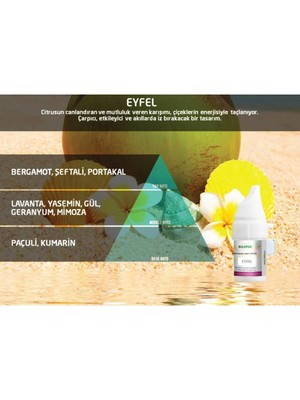 Feyza Design Eyfel Koku Kartuşu 100 ml – M5 ve M6 Uyumlu, Oda ve Alan Kokusu