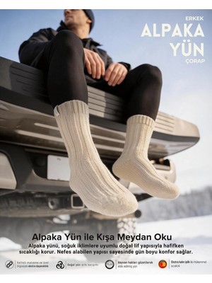 Bolero Erkek Alpaka Yün Kışlık Çorap Bej