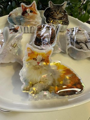 Joinkidz 3D Parlak Kedi Figürlü Kemik Toka Kadın Çocuk Genç