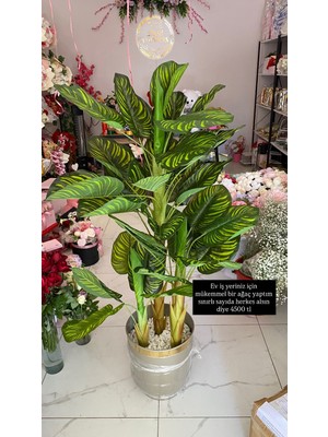 Zb Flowers Ofis Mağaza Işyeri Dekor Ağaç Yapay Dekor Ağacı