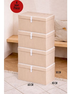 ALAS 4 Adet Çok Amaçlı Baza Altı Organize Mega Boy Kutu Hurç