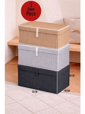 ALAS 3 Adet Çok Renkli Baza Altı Maxi Boy Giysi Kutu Hurç