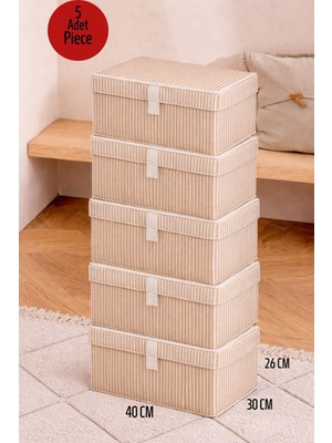 ALAS 5 Adet Çok Amaçlı Baza Altı Giysi & Yastık Mini Hurç