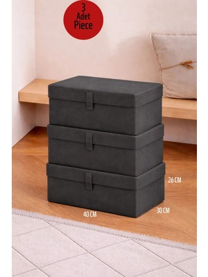 ALAS 3 Adet Çok Amaçlı Baza Altı Giysi & Yastık Mini Hurç