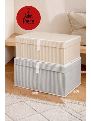 ALAS 2 Adet Çok Amaçlı Baza Altı Mega Boy Giysi Kutu Hurç
