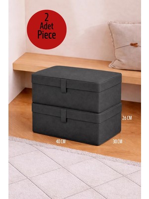 ALAS 2 Adet Çok Amaçlı Baza Altı Giysi & Yastık Mini Hurç