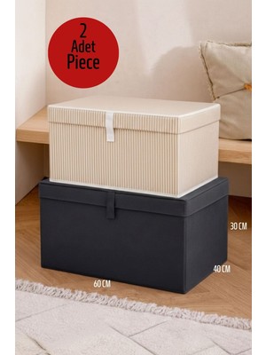 ALAS 2 Adet Çok Amaçlı Baza Altı Mega Boy Giysi Kutu Hurç