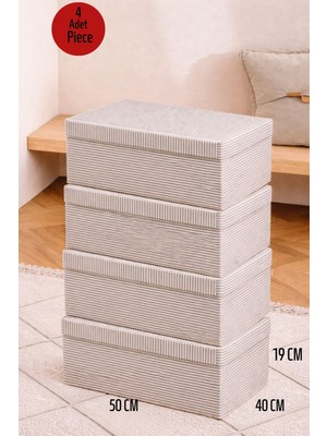 ALAS 4 Adet Çok Amaçlı Baza Altı Giysi Organizer Kutu Hurç