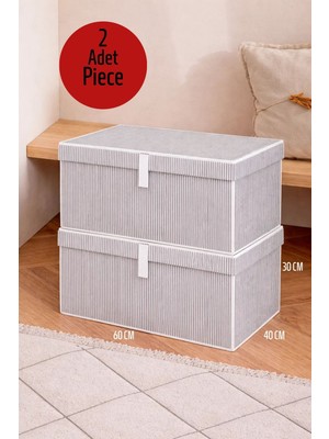 ALAS 2 Adet Çok Amaçlı Baza Altı Mega Boy Gri Kutu Hurç