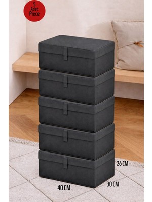 ALAS 5 Adet Çok Amaçlı Baza Altı Giysi & Yastık Mini Hurç