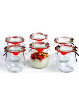 Feyza Design 220 ml Lale Kavanoz Seti (6'lı) - Şık ve Kullanışlı Saklama Çözümü