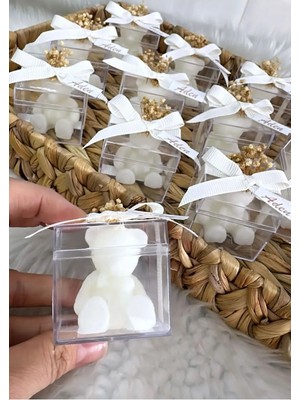 Bernami Pinterest Ayıcıklı Mum Krem Kutulu (10 Adet)