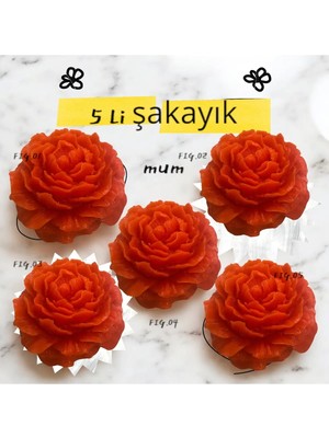 Bernami Pinterest Kırmızı Şakayık Yüzen Mum Düğün, Nışan, Kına Gecesi Hediyelik Vanilya Kokulu Mum 5 Adet