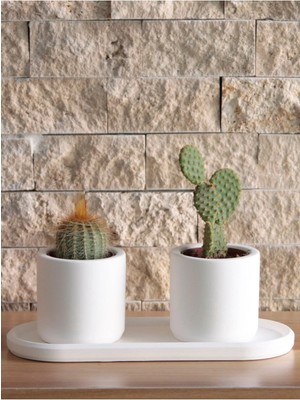 Bernami Pinterest Mini Silindir Sukulent Saksı Oval Tabaklı Set Dekoratif Hediyelik Ham Beyaz