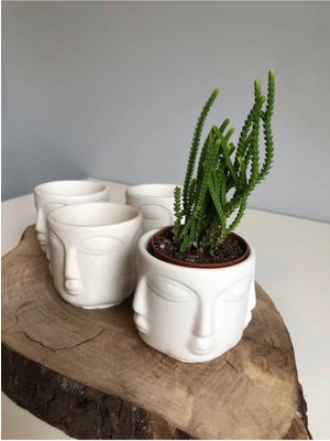 Bernami Pinterest 4 Lü Beton Adler Saksı Beyaz Obje Ev Dekoratif Objesi