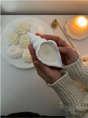Bernami Pinterest Deniz Kabuğu Istiridye Mum