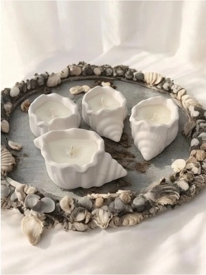 Bernami Pinterest Deniz Kabuğu Tabanlı Mum - 1 Adet