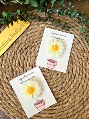 Bernami Pinterest 10 Adet Kartlı Papatya Mum 8 Mart Dünya Kadınlar Günü