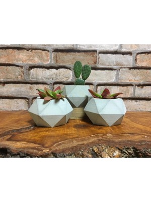 Bernami Pinterest Üçlü Ham Beton Döküm Kaktüs ve Skulent Saksı Seti Prizma