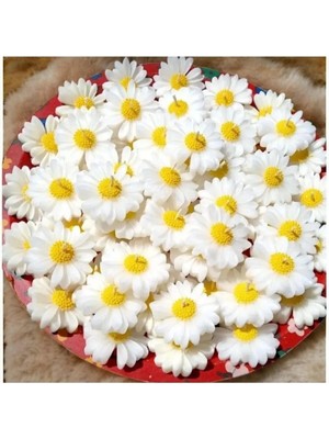 Bernami Pinterest Papatya Suda Yüzen Mum Kokulu Mum - 1 Adet