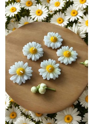 Bernami Pinterest Suda Yüzen Hediyelik Kokulu Papatya Mum - 1 Adet