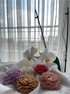 Bernami Pinterest Şakayık Gülü Mumu 5'li Paket