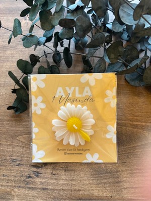 Bernami Pinterest 15 Adet Papatya , Nikah Şekeri, Doğum, Sünnet, Düğün Nişan Söz, Kına, Doğum Günü