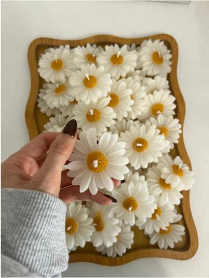 Bernami Pinterest Papatya , Nikah Şekeri, Doğum, Sünnet, Düğün Nişan Söz, Kına, Doğum Günü. - 10 Adet