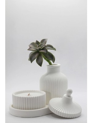 Bernami Pinterest Bohem Pampas Vazo ve Mum Seti 3 Parça