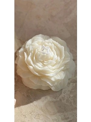 Bernami Pinterest 3 Adet Beyaz Şakayık Mum Hediyelik Dekoratif Mum