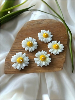 Bernami Pinterest 10 Adet Papatya , Nikah Şekeri, Doğum, Sünnet, Düğün Nişan Söz, Kına, Doğum Günü