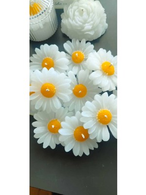 Bernami Pinterest Papatya Desen Dekoratif Mum Söz,nişan,mevlid Hediyelik Mum 5 Adet